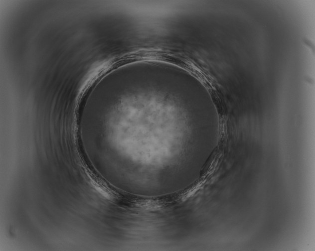 X0000093130293200709261354