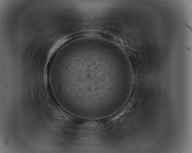 X0000093130294200709261354
