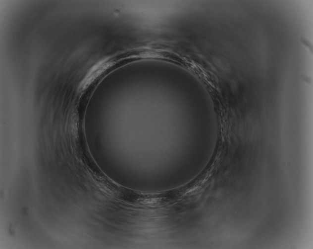 X0000093130295200709261354
