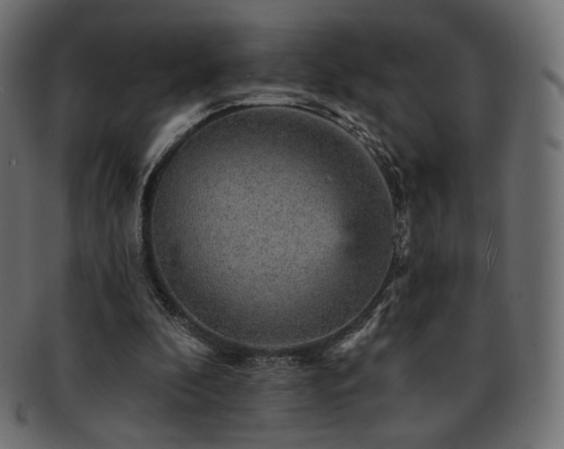 X0000093130296200709261354