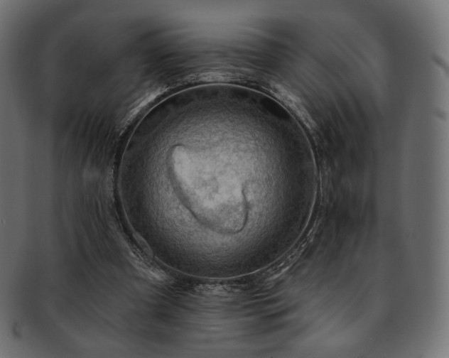 X0000093130297200709261354