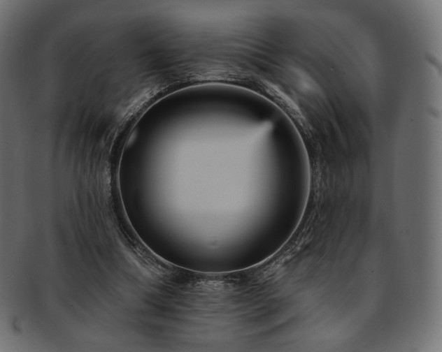 X0000093130298200709261354