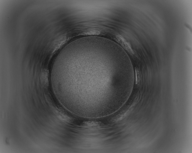 X0000093130300200709261354