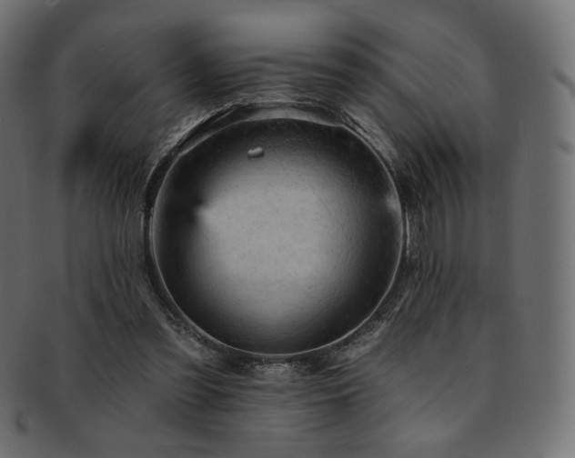 X0000093130301200709261354