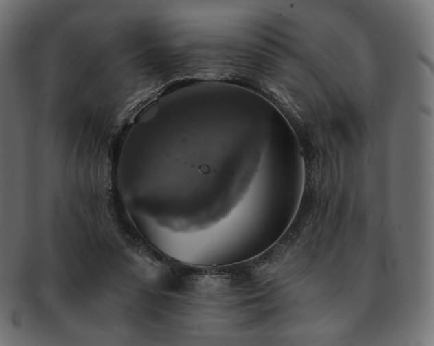 X0000093130303200709261354