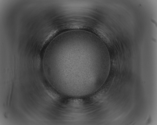 X0000093130304200709261354