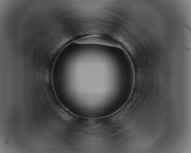 X0000093130305200709261354