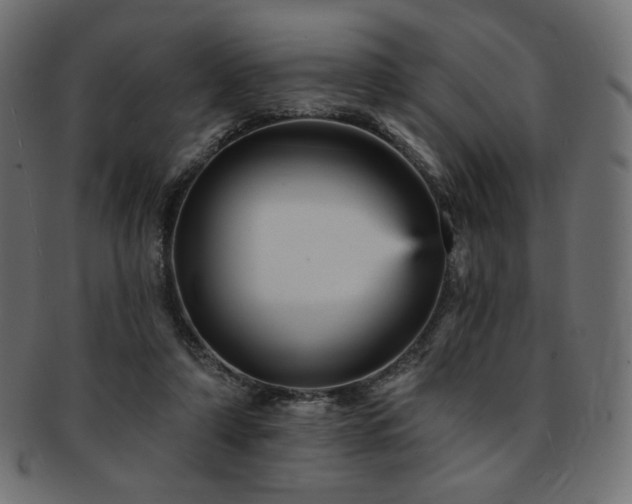 X0000093130306200709261354