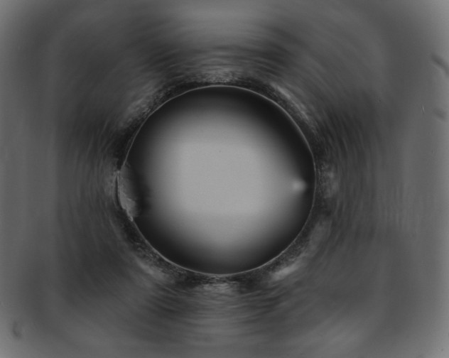 X0000093130307200709261354
