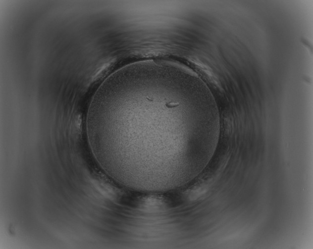X0000093130308200709261354