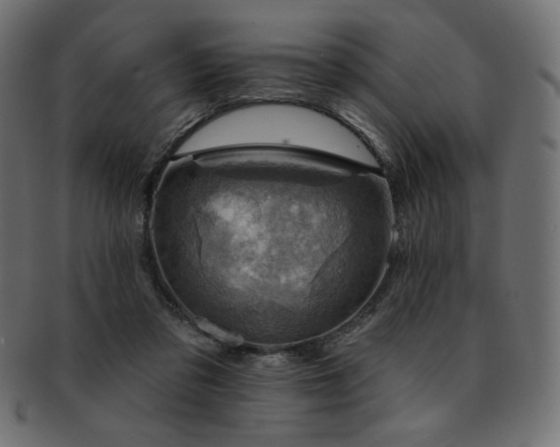 X0000093130309200709261354
