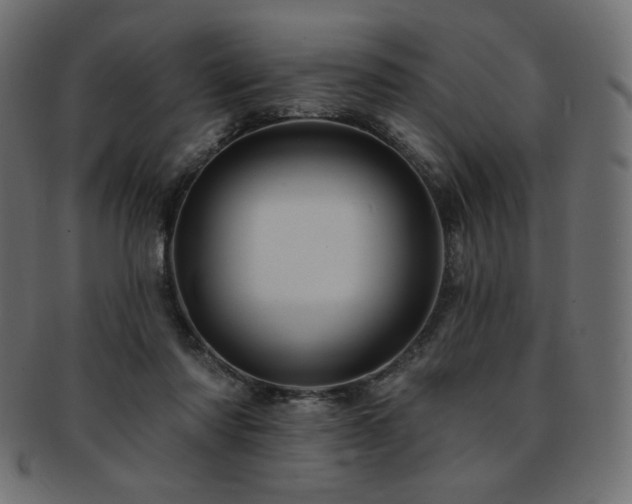 X0000093130310200709261354