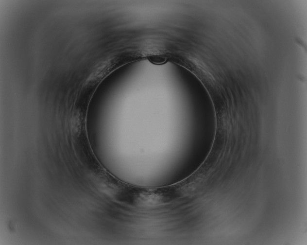 X0000093130311200709261354