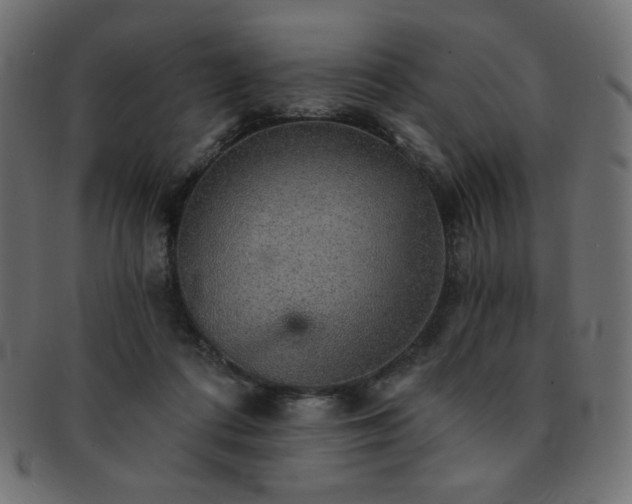 X0000093130312200709261354