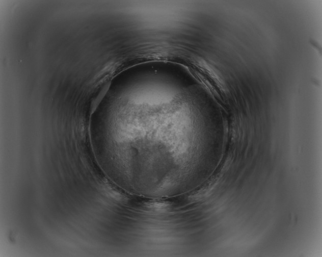 X0000093130313200709261354