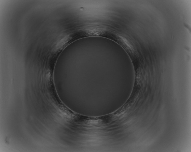 X0000093130314200709261354