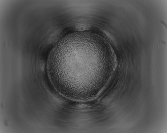 X0000093130315200709261354