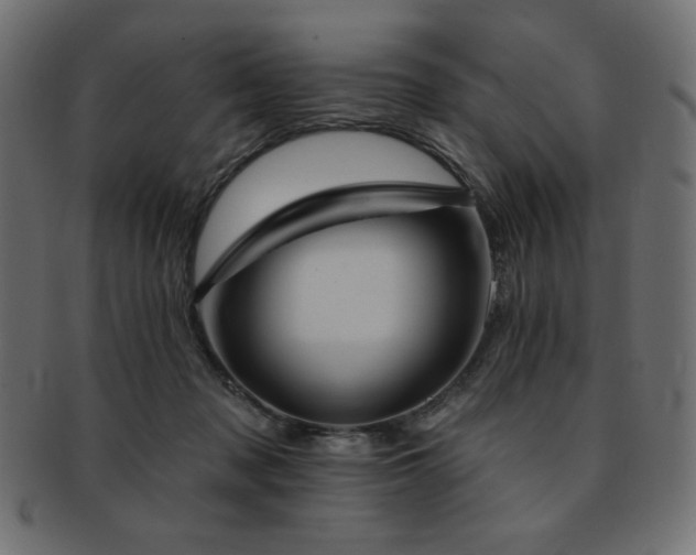X0000093130317200709261354