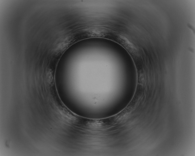 X0000093130318200709261354