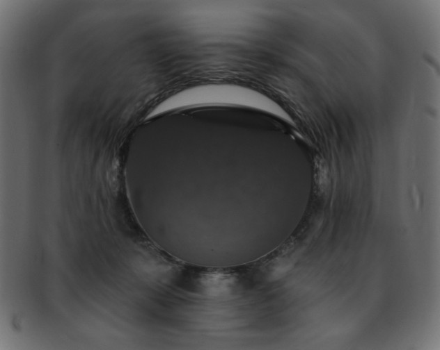 X0000093130319200709261354