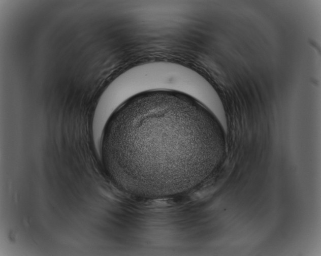 X0000093130320200709261354