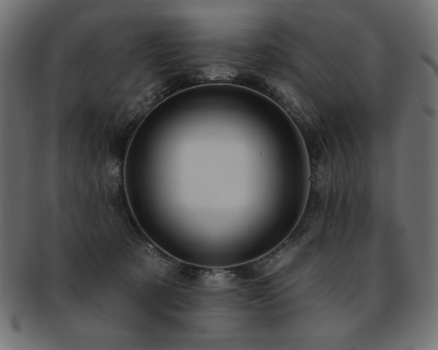X0000093130321200709261354