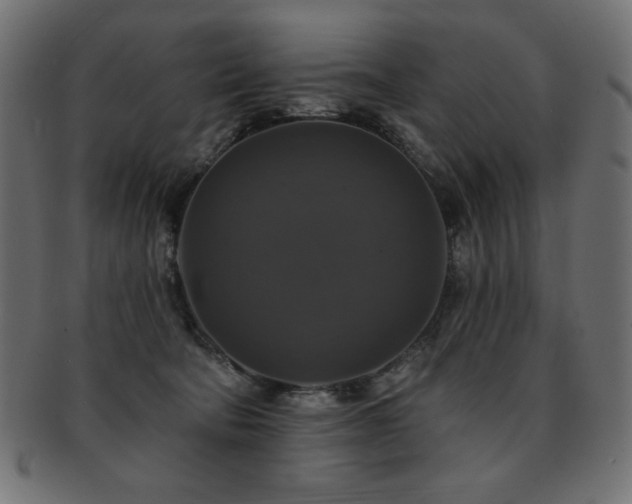 X0000093130322200709261354