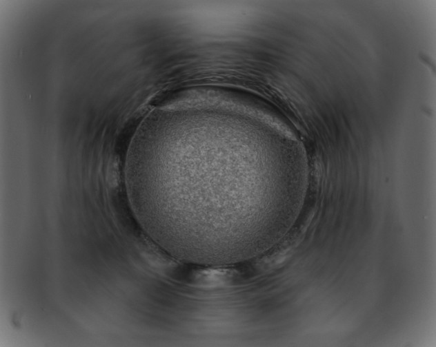 X0000093130323200709261353