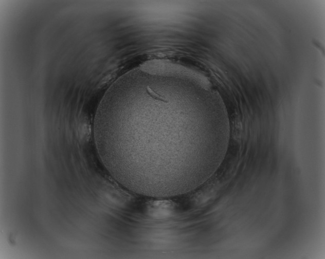 X0000093130324200709261353