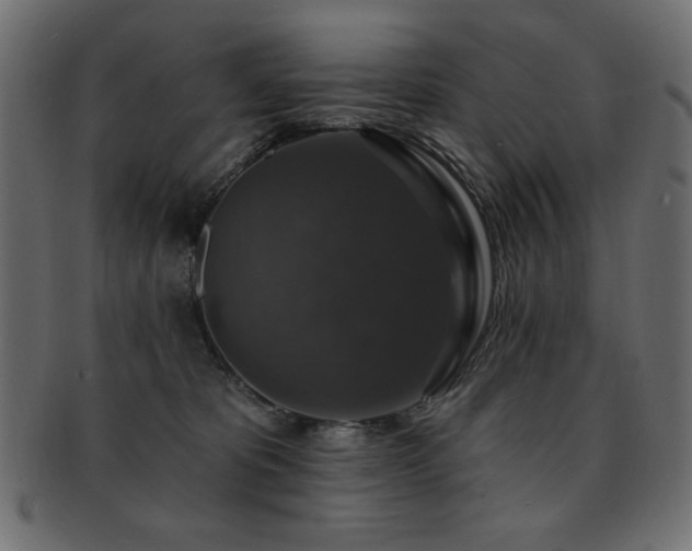 X0000093130325200709261353