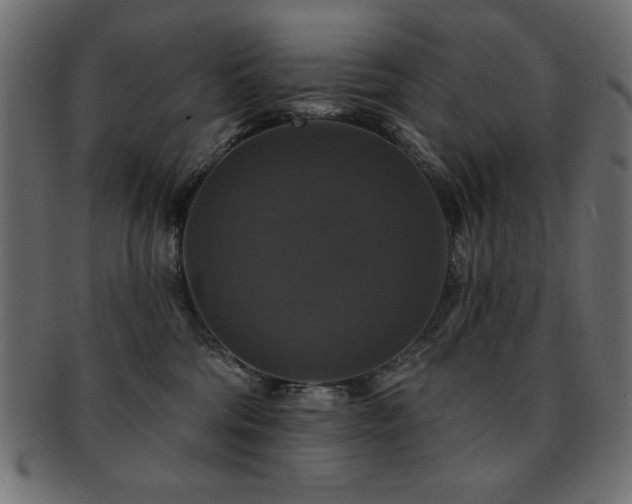 X0000093130330200709261353