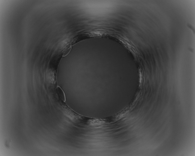 X0000093130331200709261353
