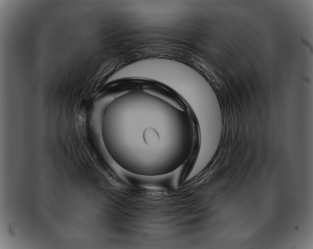 X0000093130333200709261353