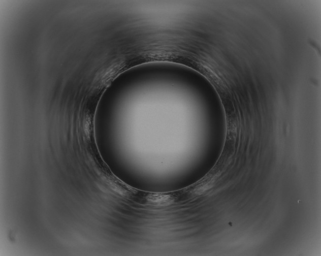 X0000093130334200709261353