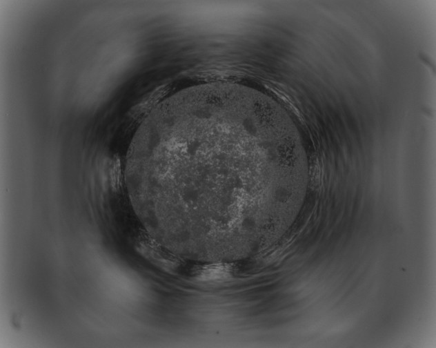 X0000093130335200709261353