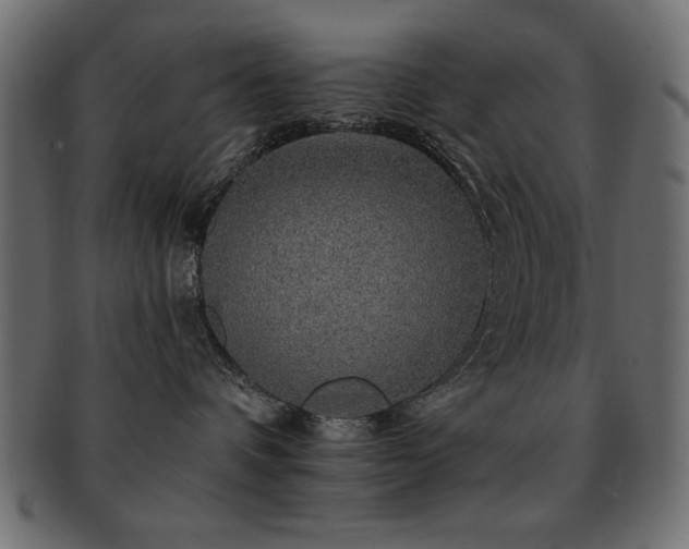 X0000093130336200709261353