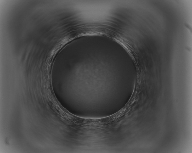 X0000093130337200709261353
