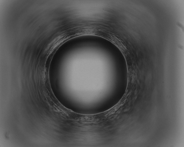 X0000093130338200709261353