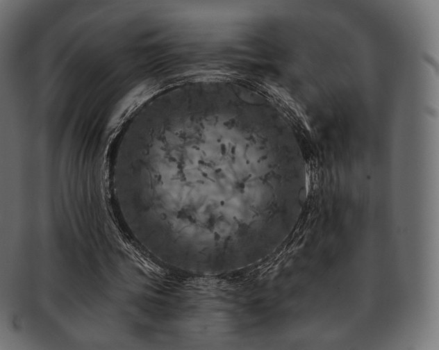 X0000093130339200709261353