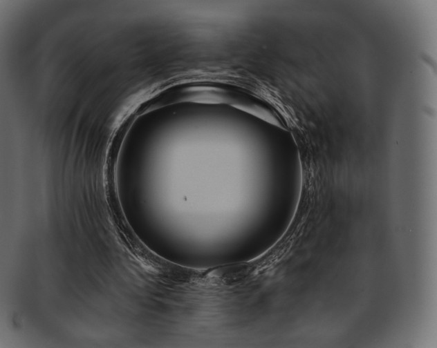 X0000093130340200709261353