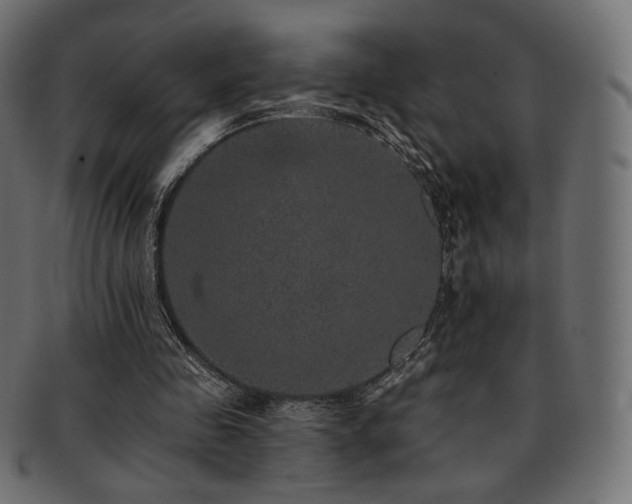 X0000093130341200709261353