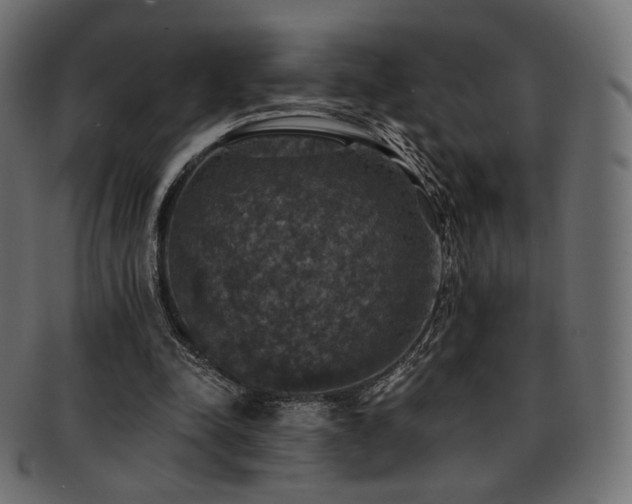 X0000093130342200709261353