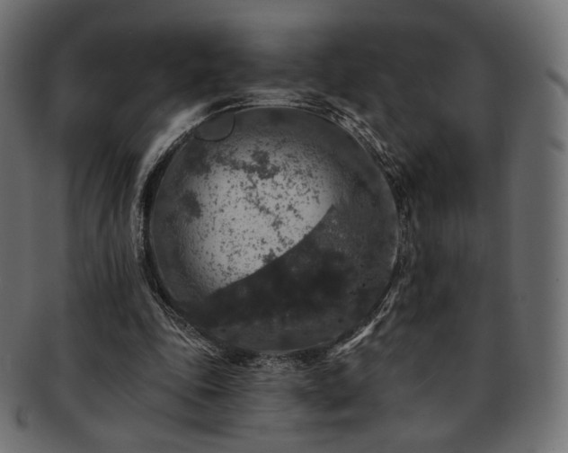 X0000093130343200709261353