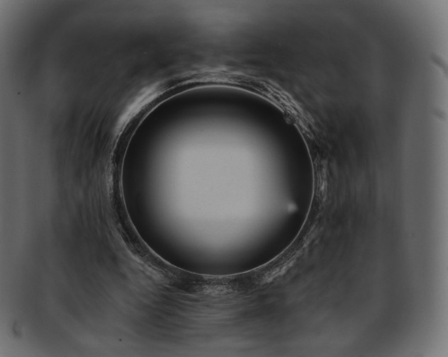 X0000093130344200709261353