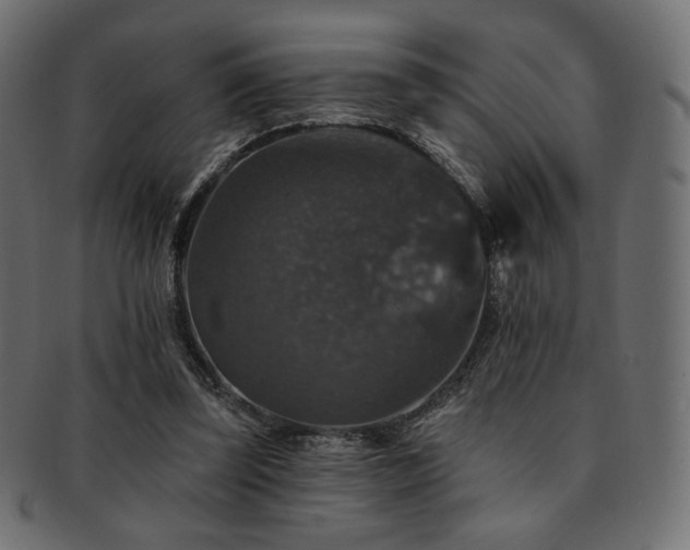 X0000093130347200709261353