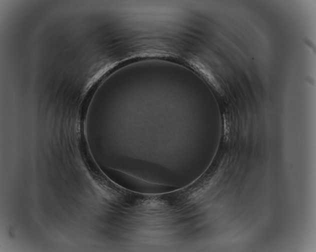 X0000093130348200709261353