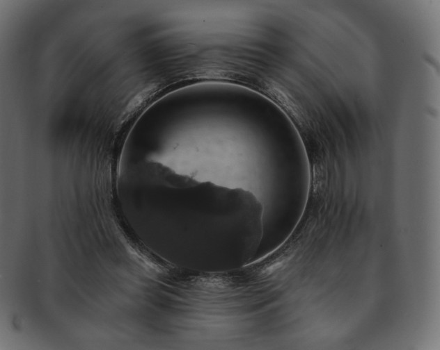 X0000093130349200709261353