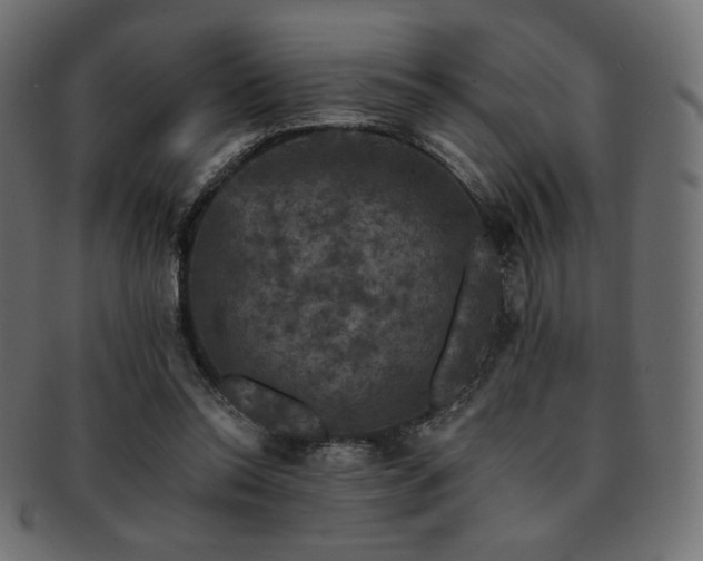 X0000093130350200709261353