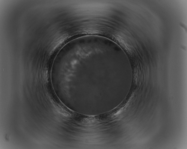 X0000093130351200709261353