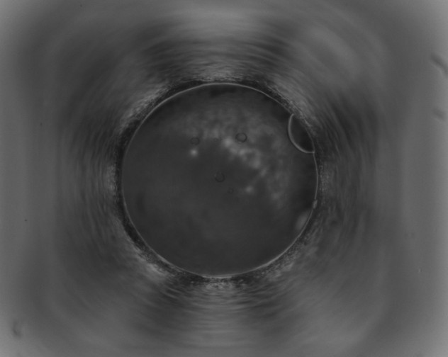 X0000093130353200709261353